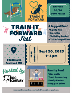 TIF event Flyer